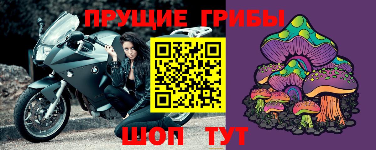 Унеча  Псилоцибиновые грибы ЛСД  Вход с VPN 